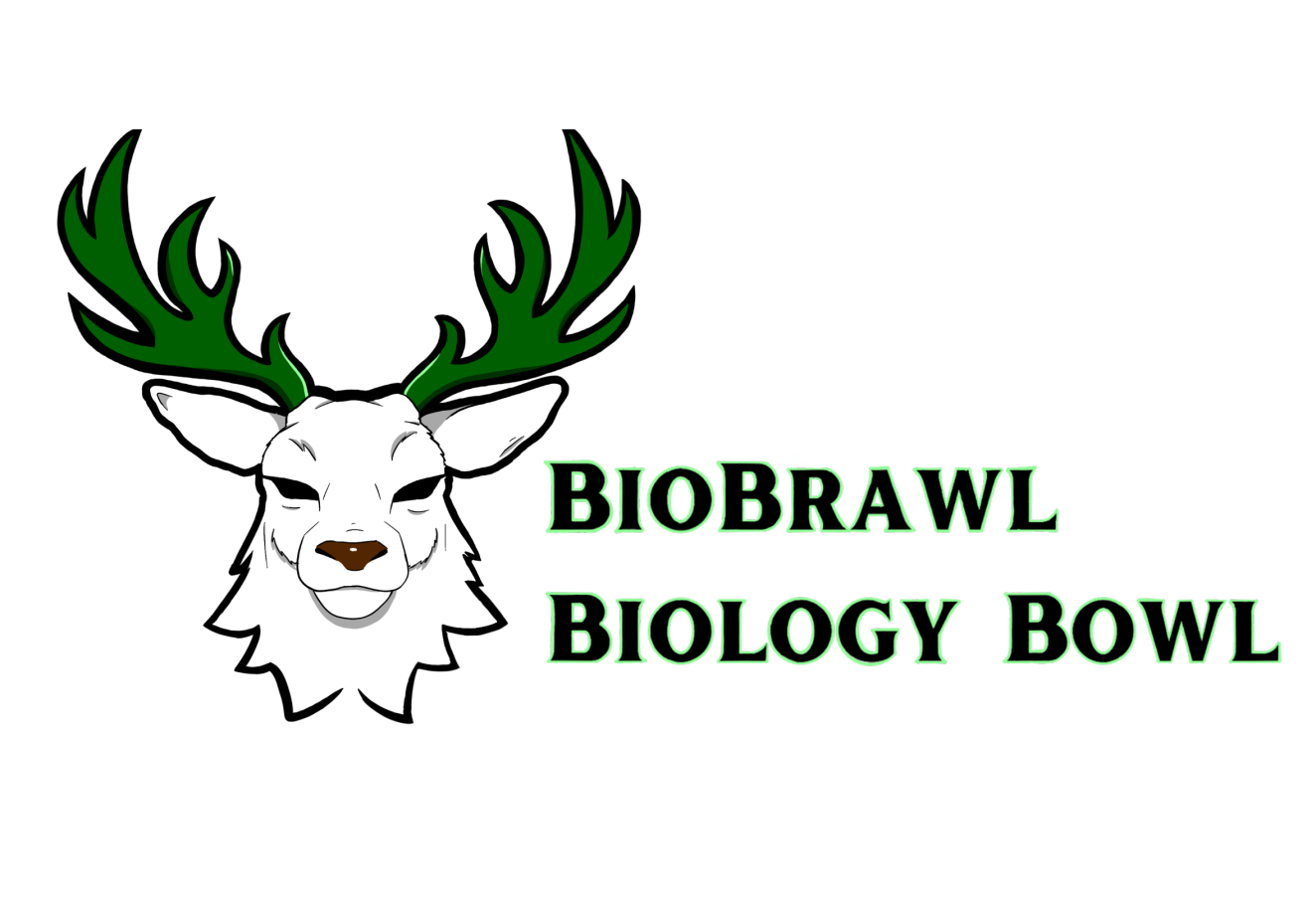 BioBrawl competition hero